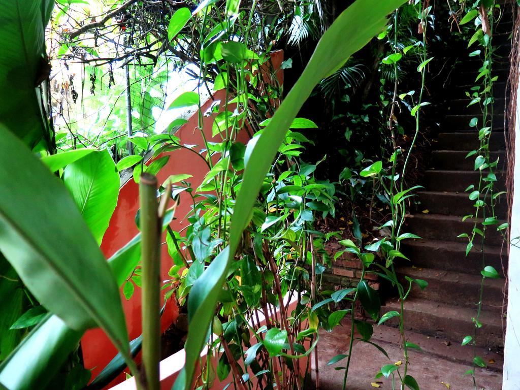 Para Ti Guesthouse Rio de Janeiro Dış mekan fotoğraf